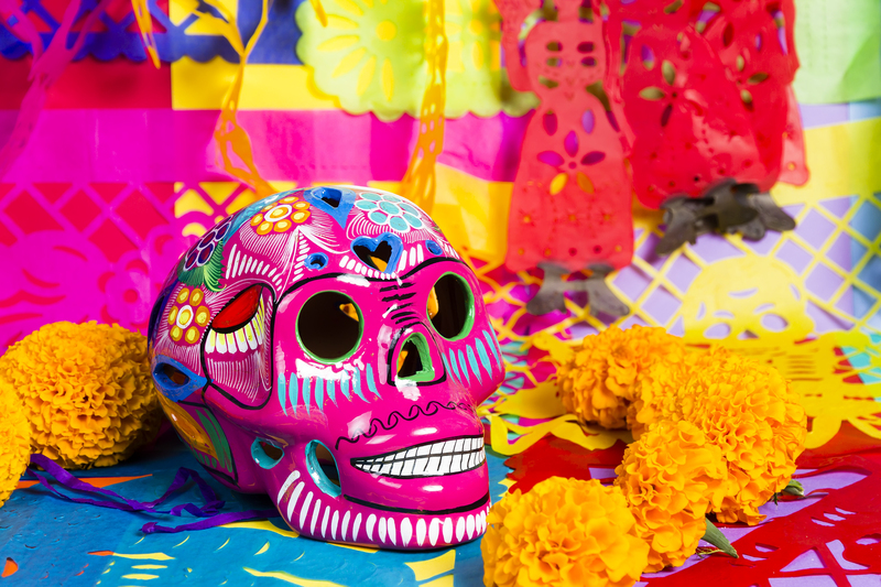 Roses flowers  / using flowers